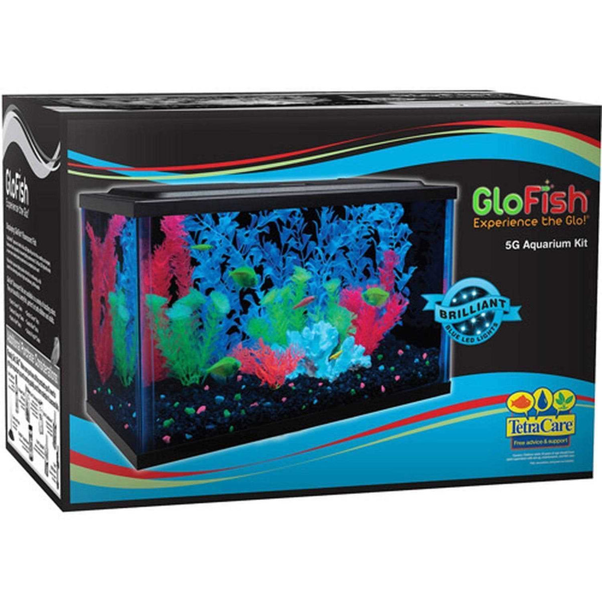5-Gallon Aquarium Kit with LED Filter W1559