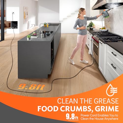 1250W Handheld Steam Cleaner with Detergent Container and Safety Lock Q1176