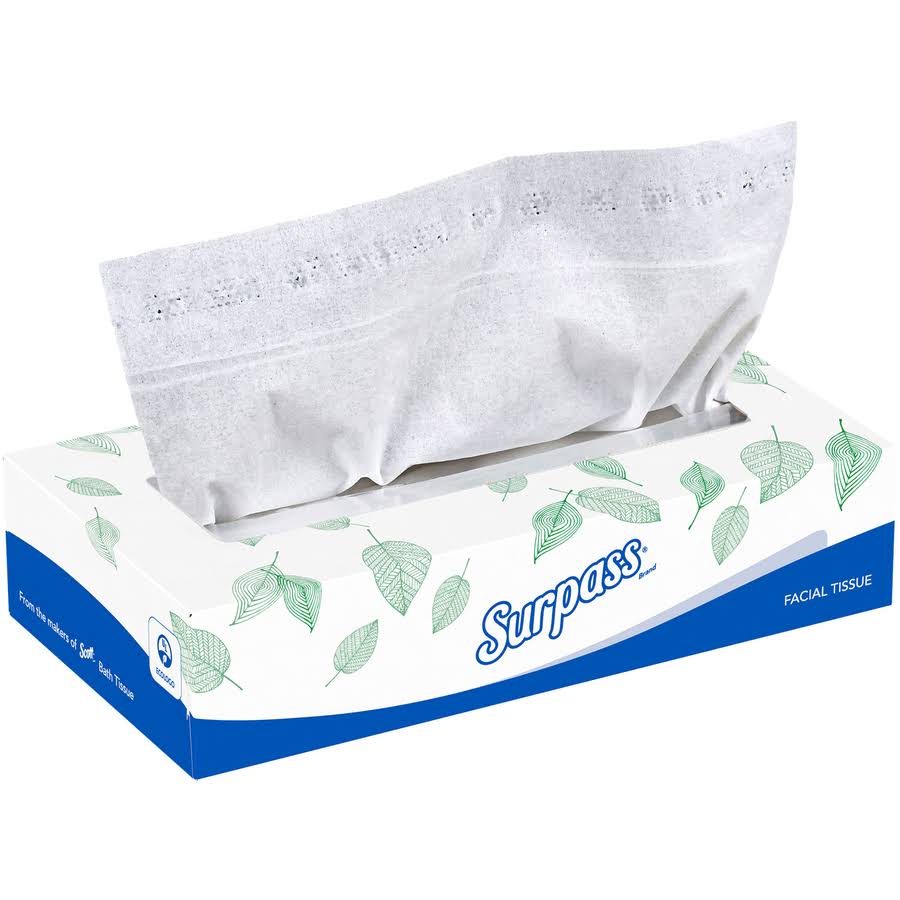 2-Ply Facial Tissue, 60 Boxes I35984