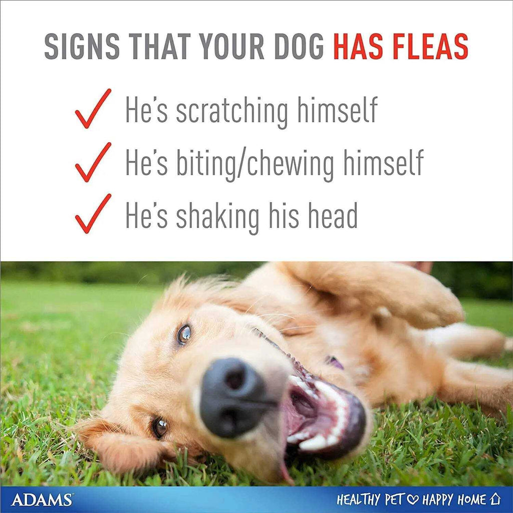 Flea & Tick Collar for Dogs G499397