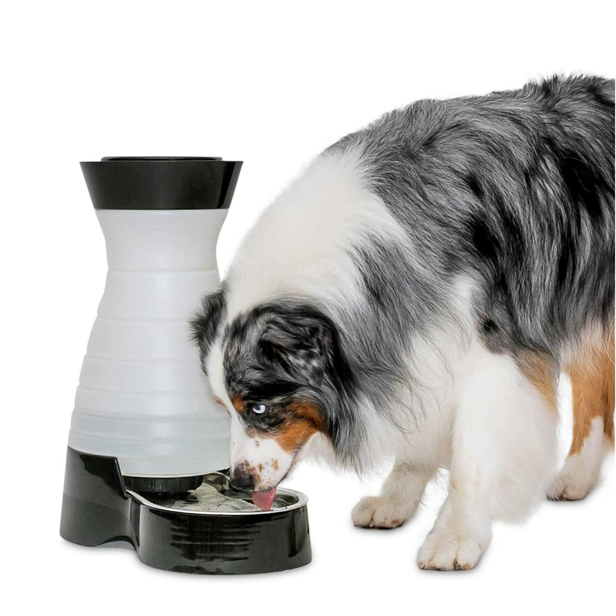 Healthy Pet Water Station E603259