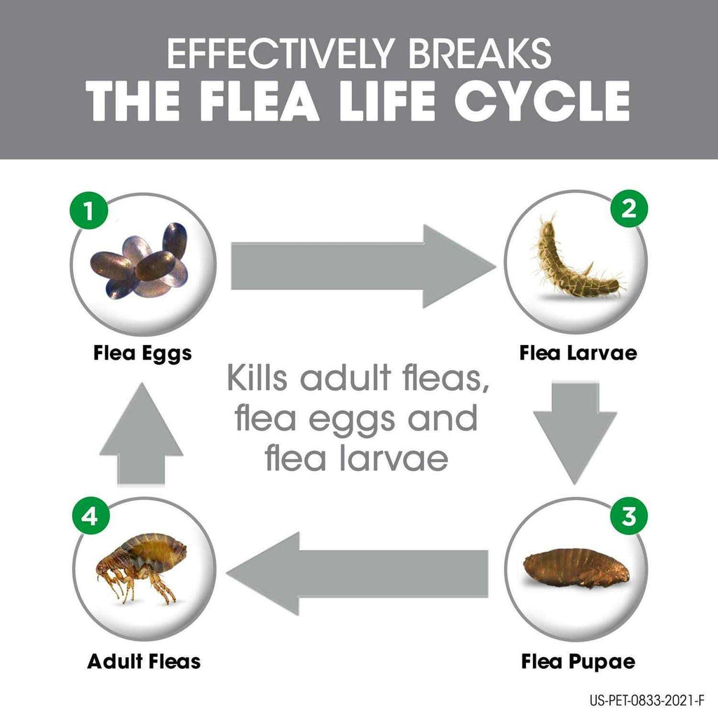 Flea & Tick for Cats P2178