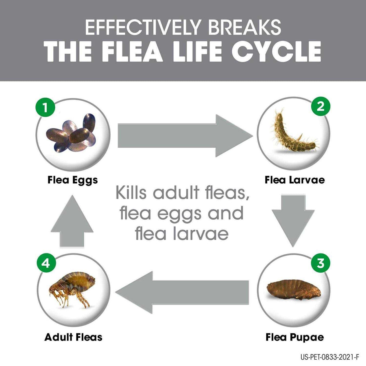 Flea & Tick for Cats P2178