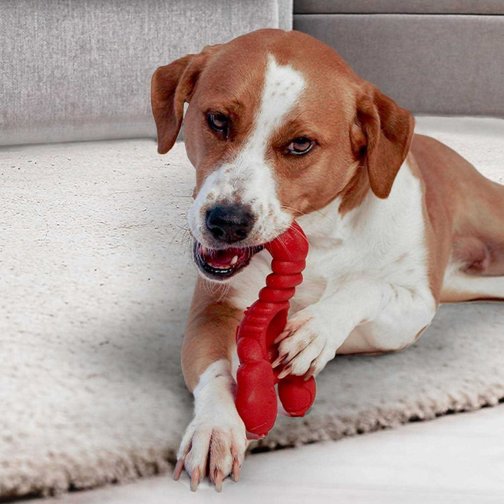 Lobster Dog Toy F85451