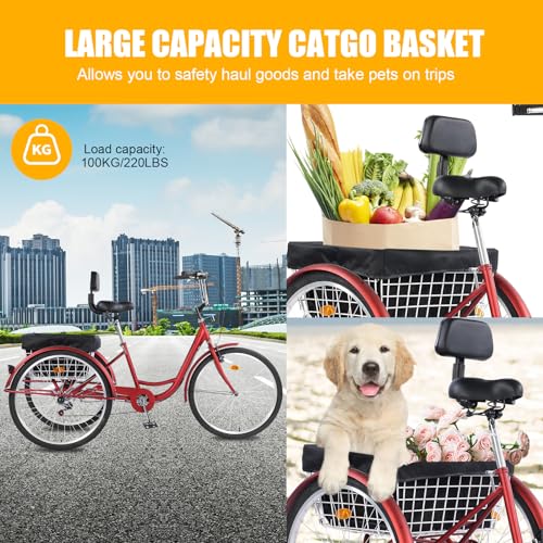 24 inch 7 Speed 3 Wheel Adult Tricycle with Basket O399623