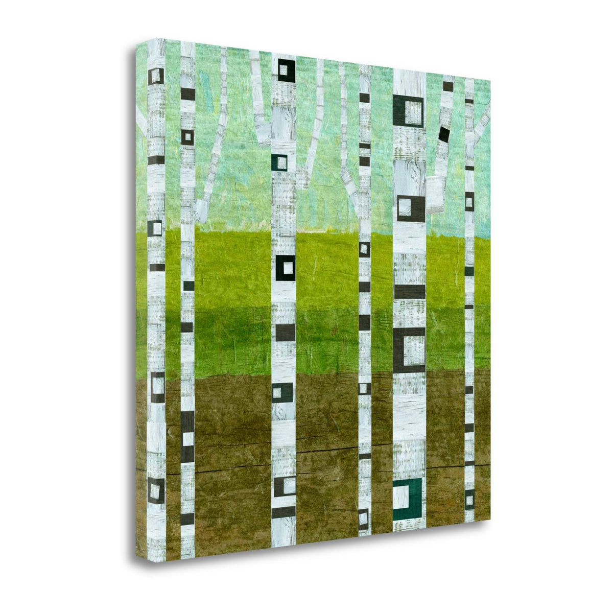 Summer Birches D575263
