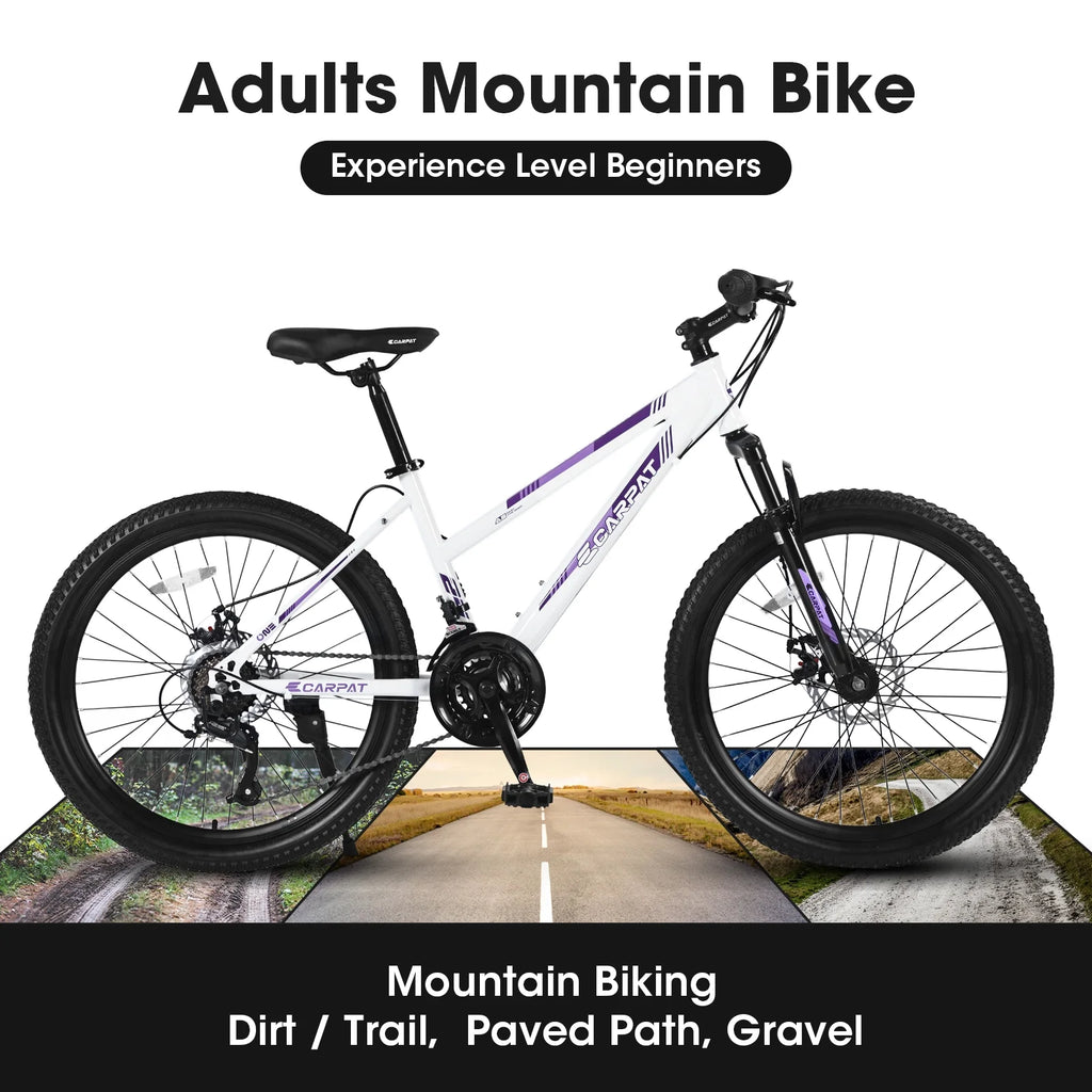 26 inch 21 Speeds Mountain Bike with Dual Disc Brakes U48052
