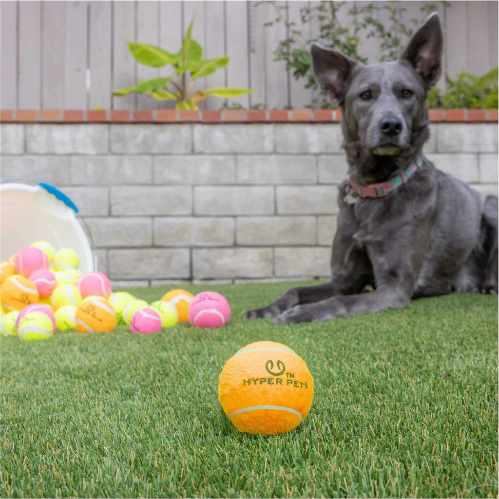 Tennis Balls G354211