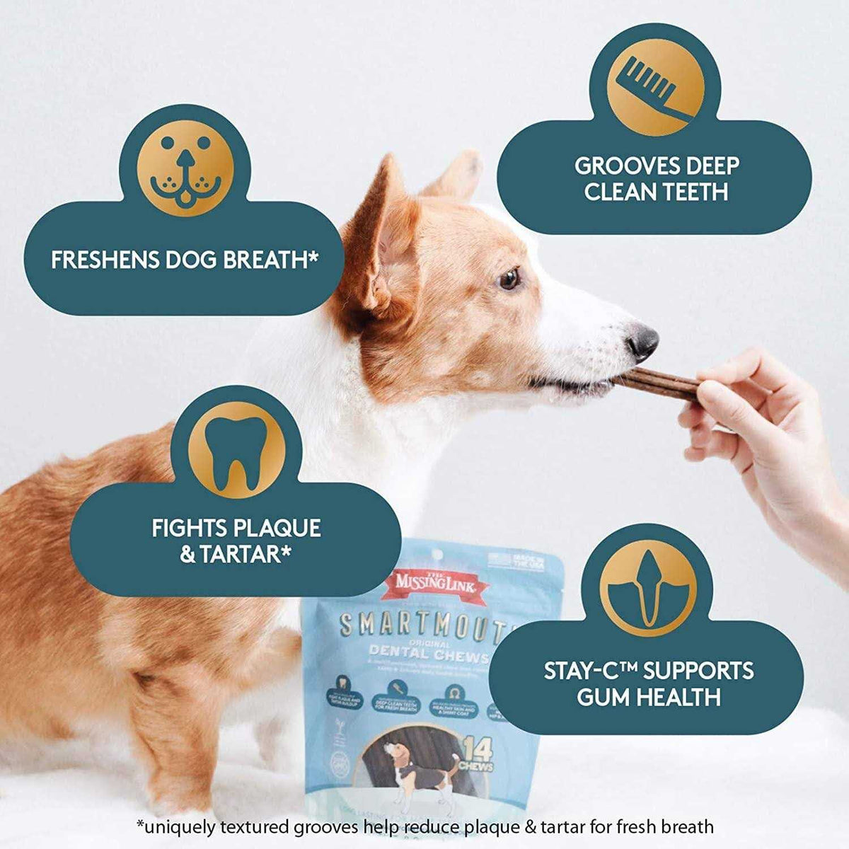 Smartmouth Dental Chews for Dogs F725011