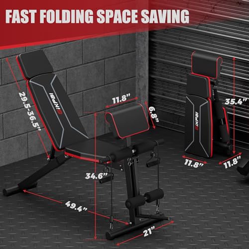 Adjustable Weight Bench with Leg Extension and Preacher Pad K184