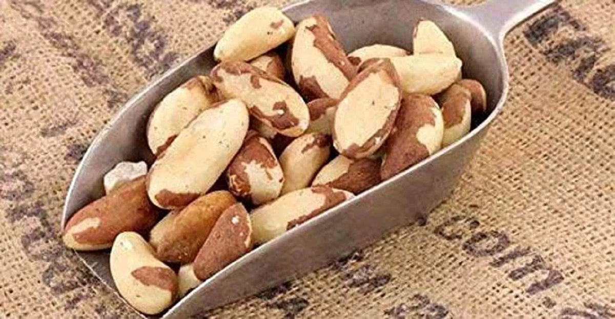 Dry Roasted Salted Brazil Nuts 25 Lbs Q536482