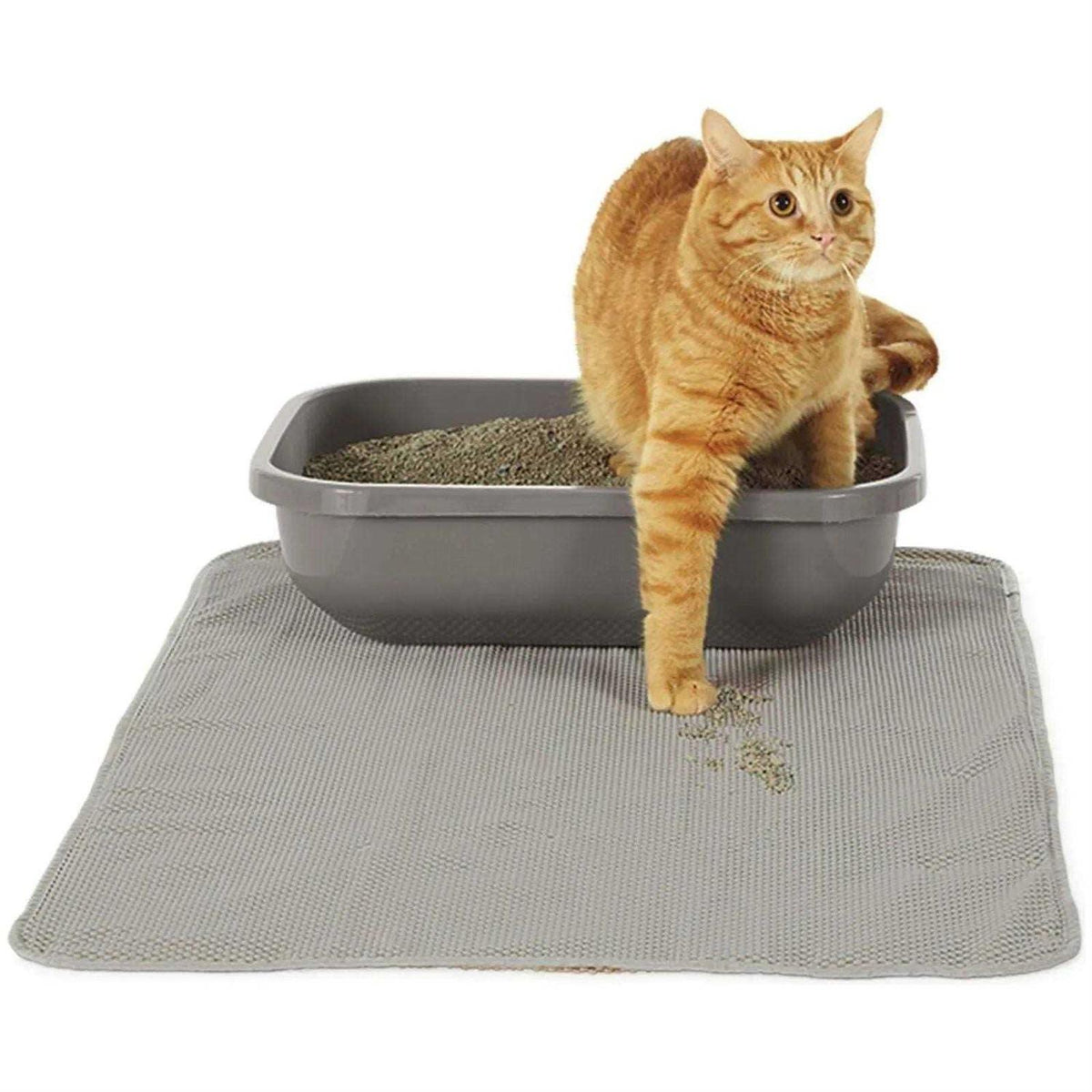 Litter Mat S288768