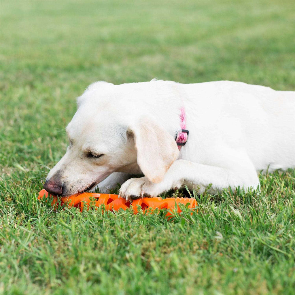 Air Fetch Stick Dog Toy O655