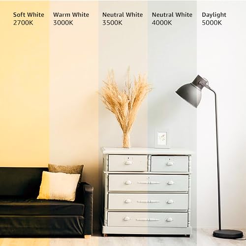 A19 LED Light Bulbs 60 Watt Equivalent 9W E26 Soft White 2700K Dimmable 6-Pack R144947