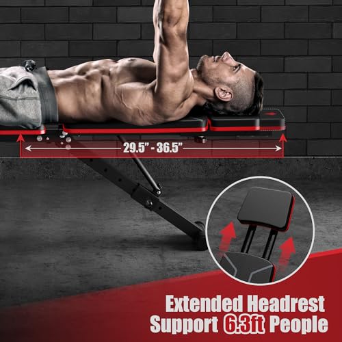 Adjustable Weight Bench with Leg Extension and Preacher Pad K184