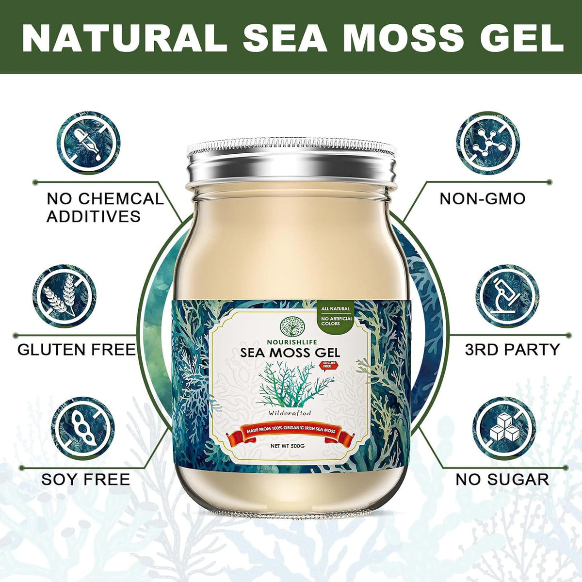 18 oz Natural sea Moss Gel, 1 Bottle B92839