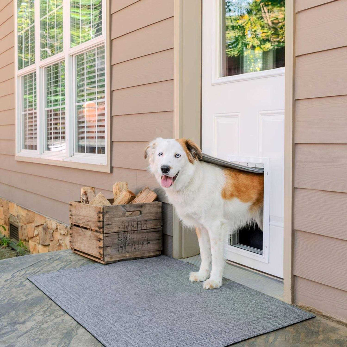 Aluminum Pet Door N646
