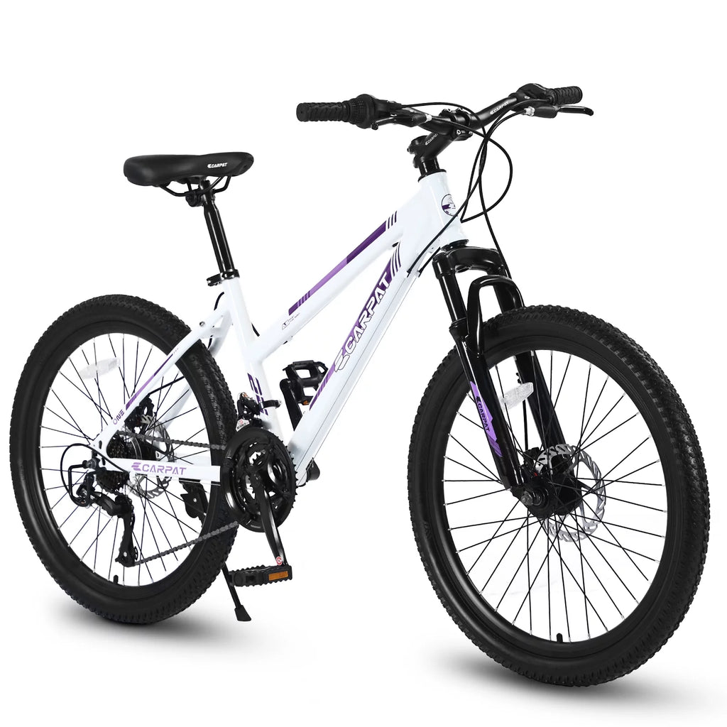 26 inch 21 Speeds Mountain Bike with Dual Disc Brakes U48052