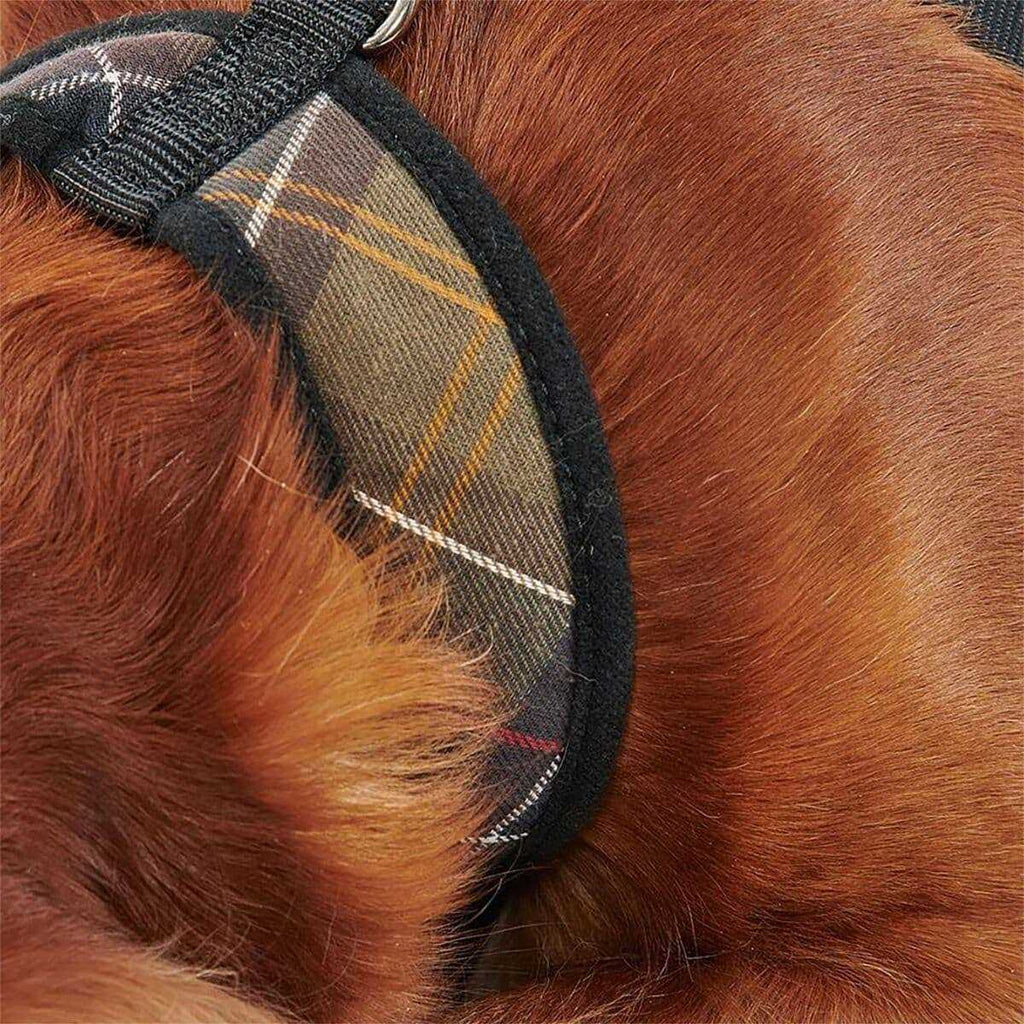 Tartan Dog Harness U6457