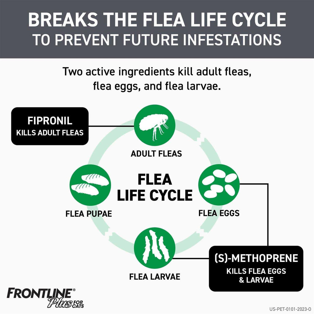 Flea & Tick for Cats P2178