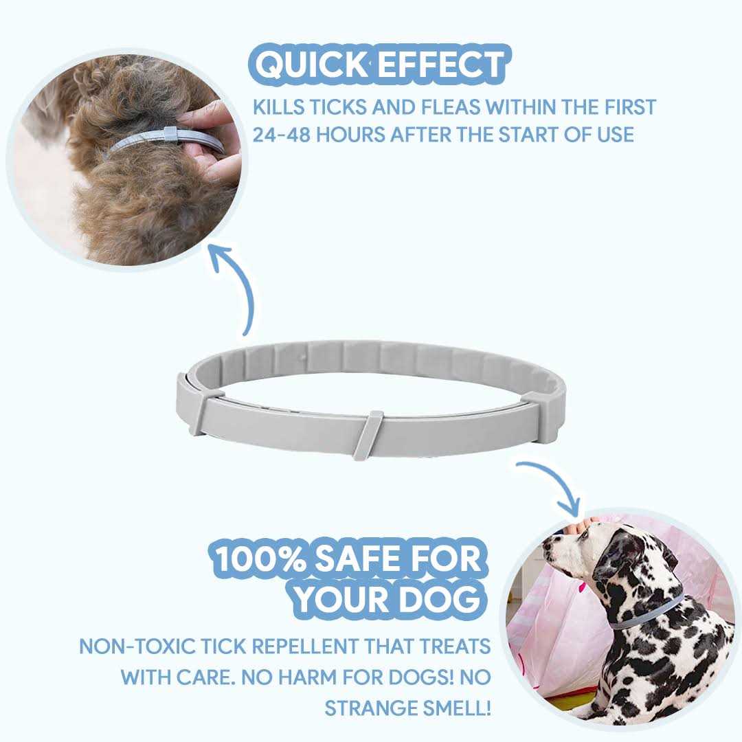 Flea & Tick Repellent Dog Collar E726095