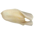 Cow Ears I36120