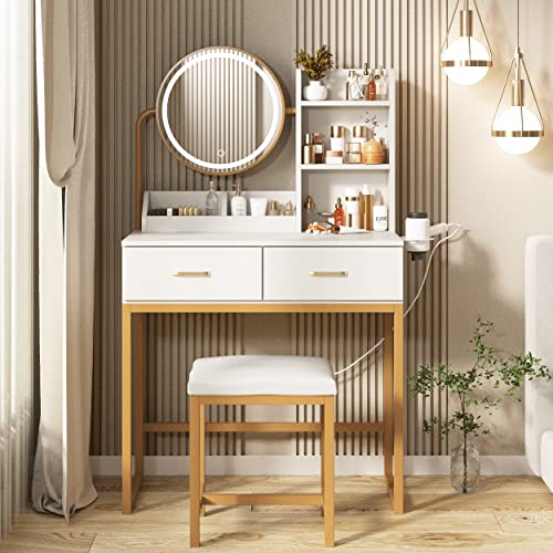 Brown Makeup Vanity Desk with Round Mirror and Lights, 2 Drawers M131330