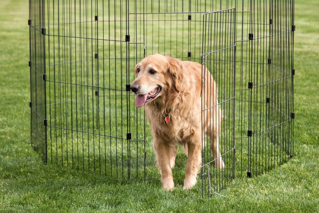 Black Wire Pet Pen R290016