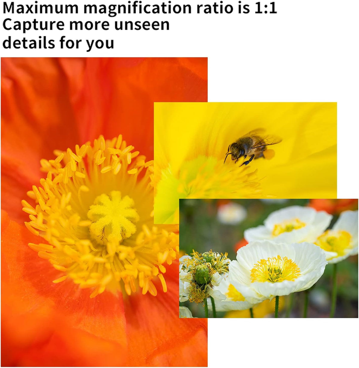 60mm F2.8 II Manual Focus APS-C Macro Lens for Fujifilm X-Mount Cameras S87013