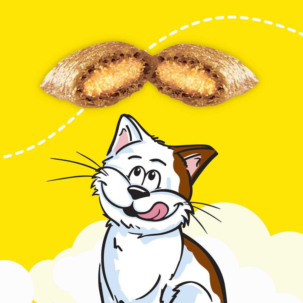 Cat Treats F29569