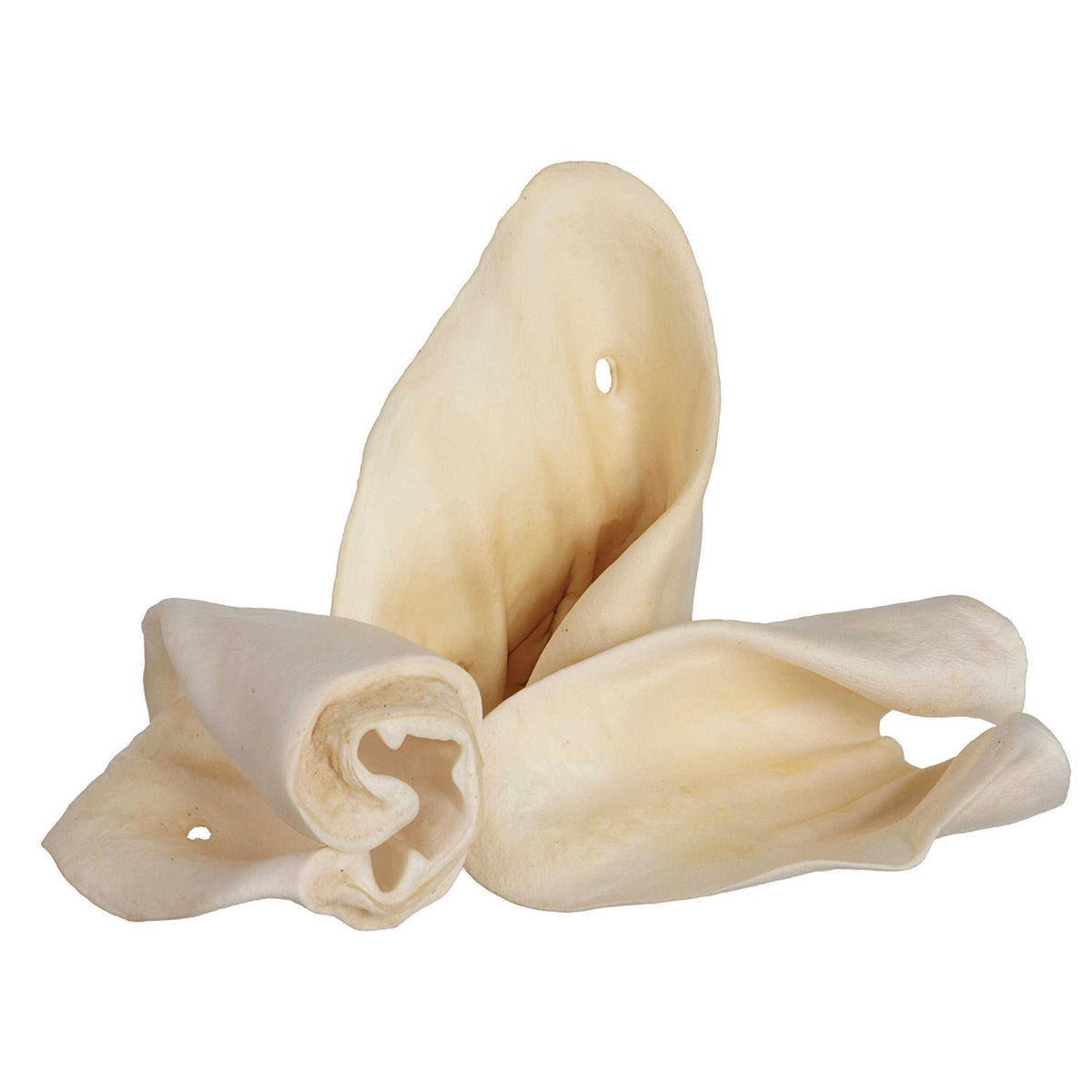 Cow Ears I36120