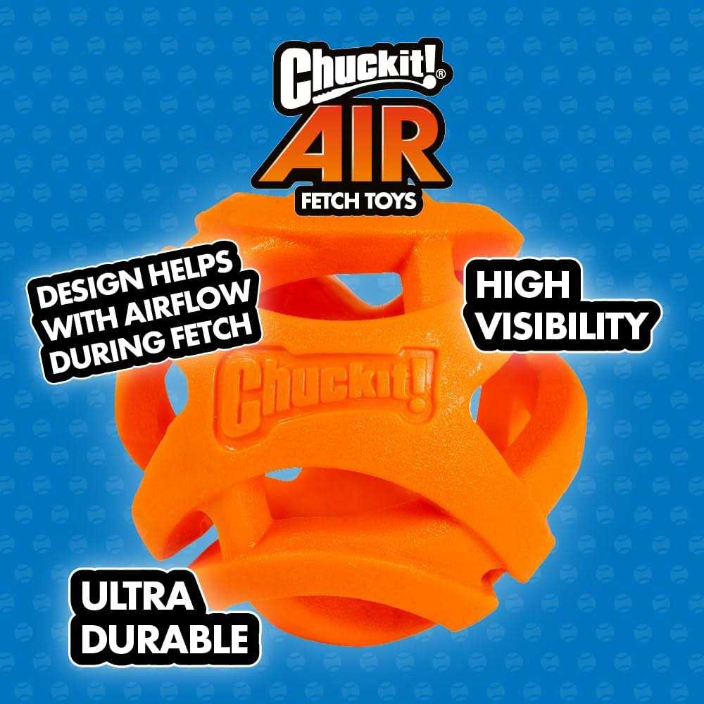 Air Fetch Stick Dog Toy O655