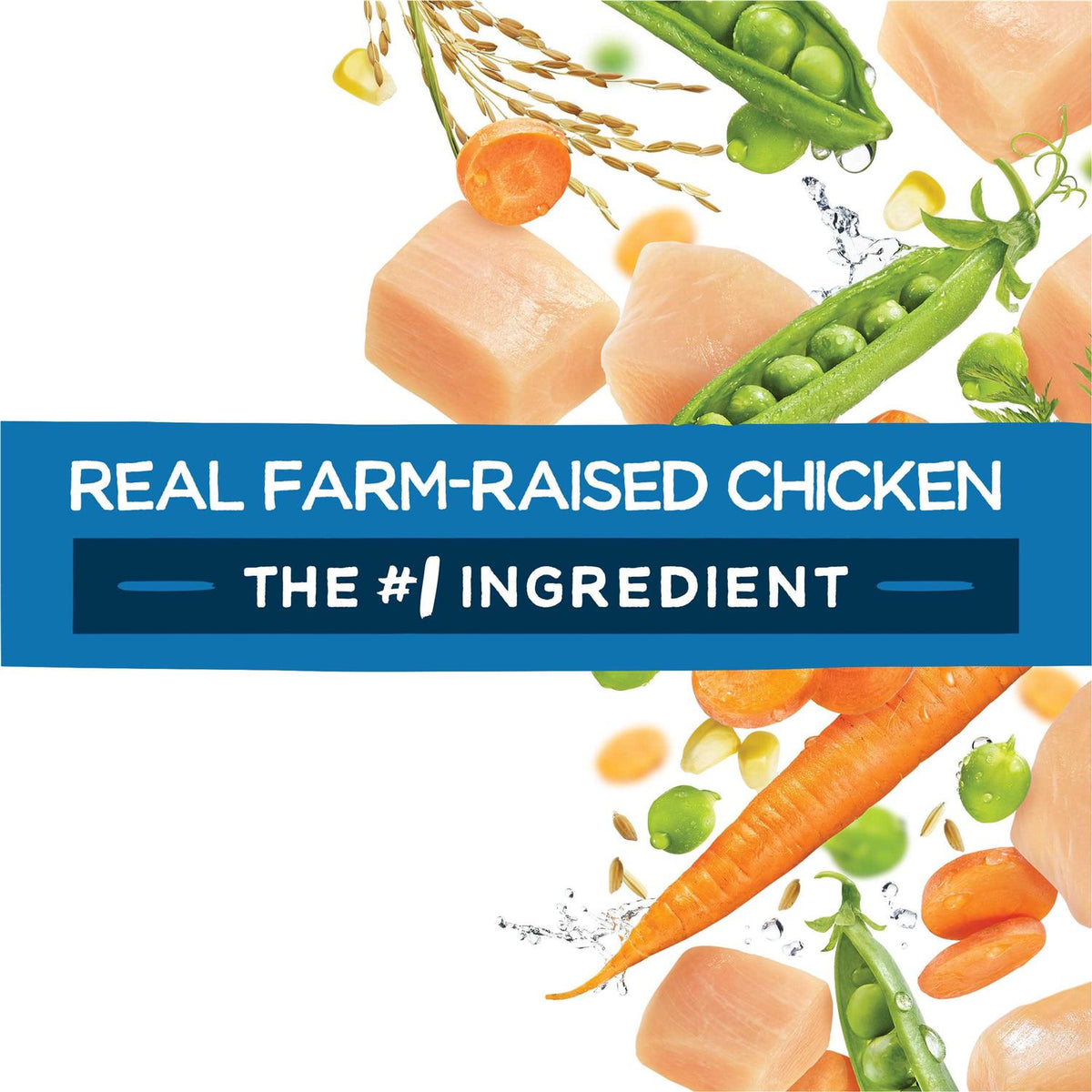Chicken Dry Dog Food H802128