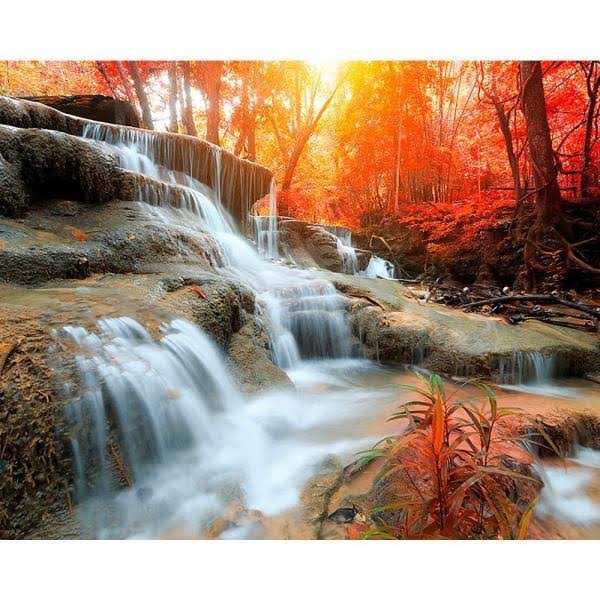 Wall Mural I9834