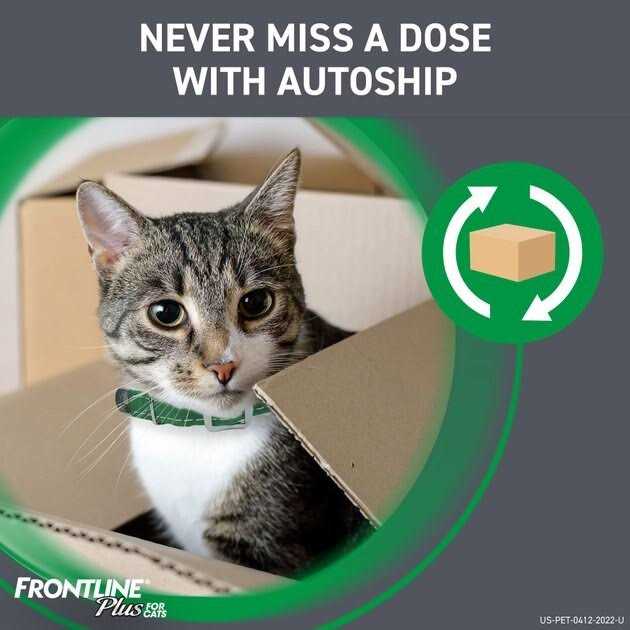 Flea & Tick for Cats P2178