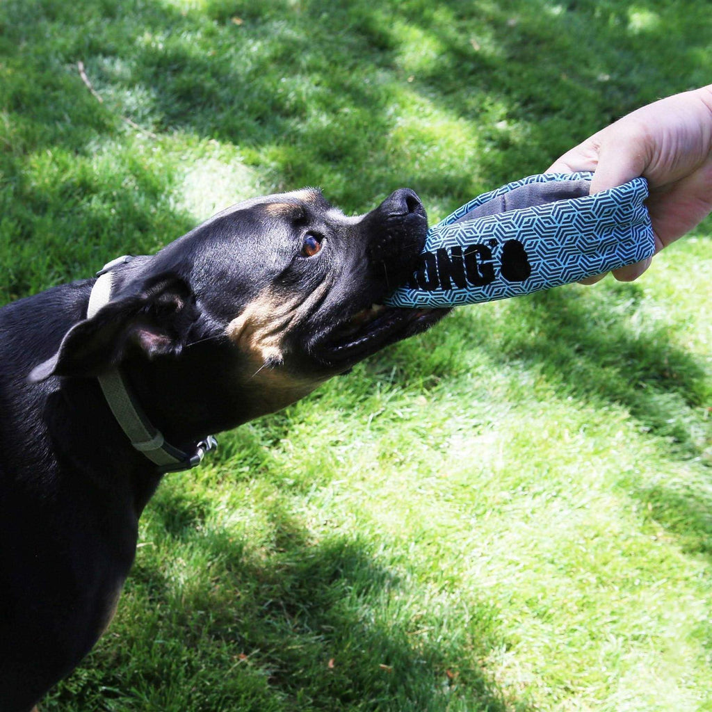 Maxx Ring Dog Toy O129