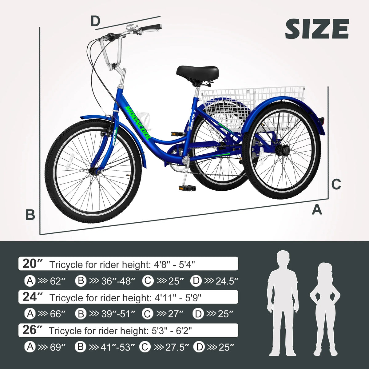Blue 7 Speed Adult Tricycle B155