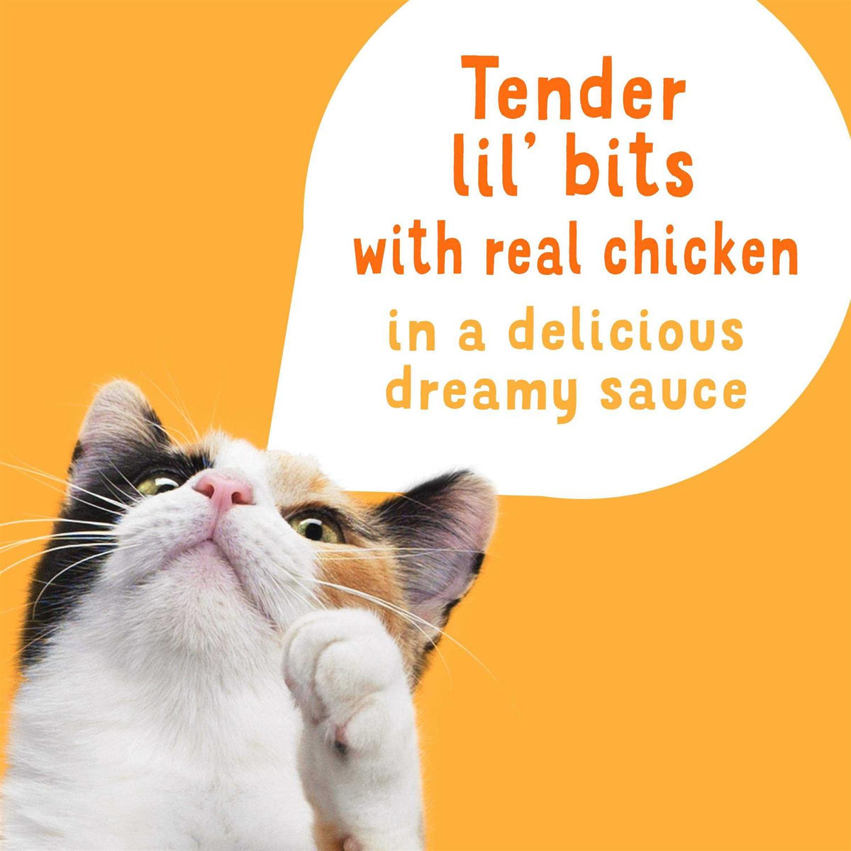 Shredded Chicken in Sauce Wet Cat Food Complement Y41193