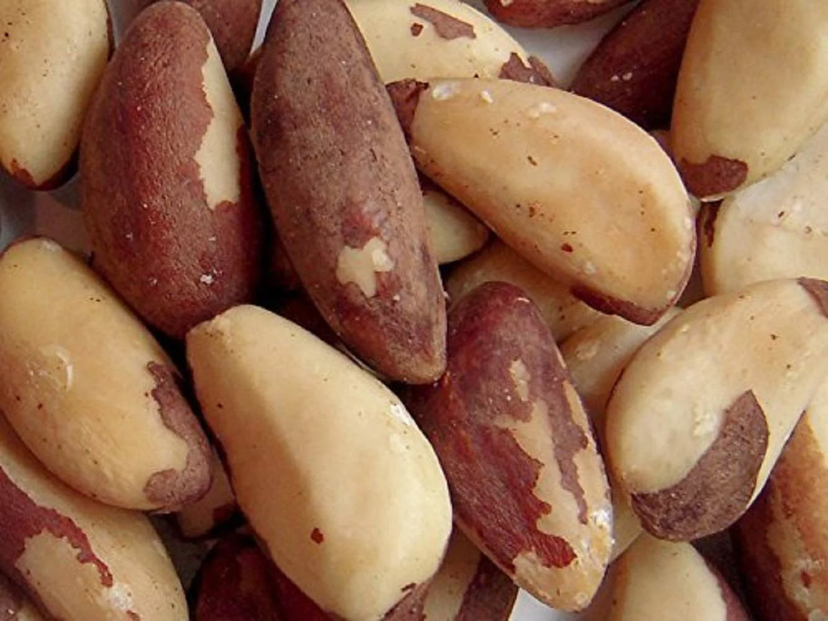 Dry Roasted Salted Brazil Nuts 25 Lbs Q536482