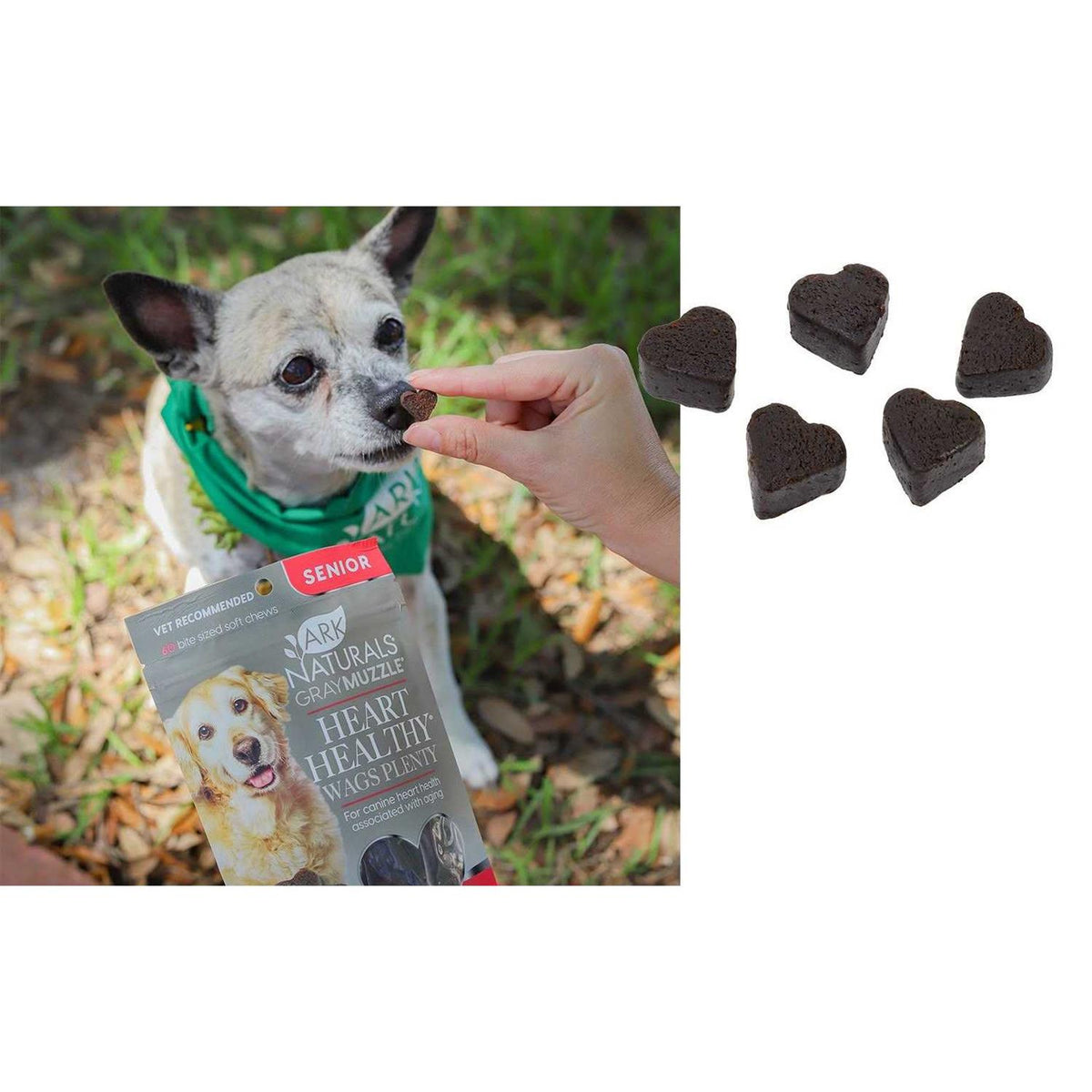 Heart Healthy Wags Plenty X38338