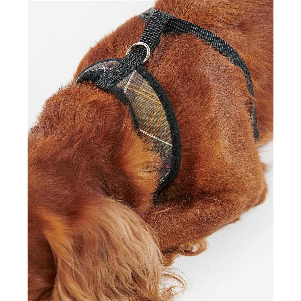 Tartan Dog Harness U6457