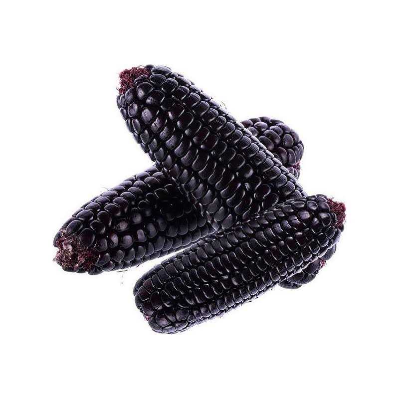 Purple Corn Cob S474669