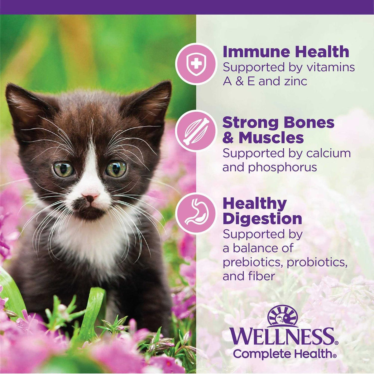 Chicken Dry Kitten Food N4142