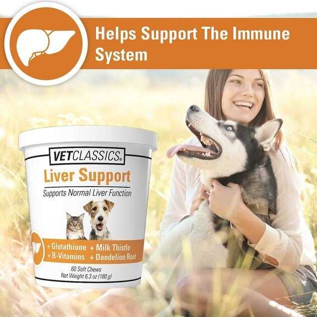 Liver Support C464
