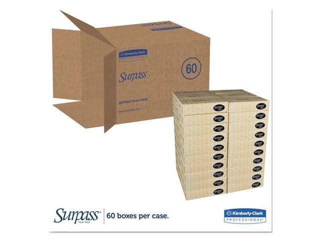 2-Ply Facial Tissue, 60 Boxes I35984