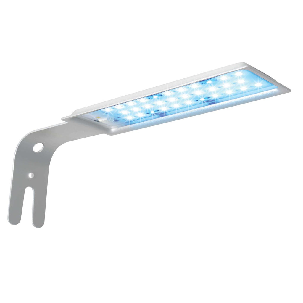 Fluval Spec III Pet Supplies O559244
