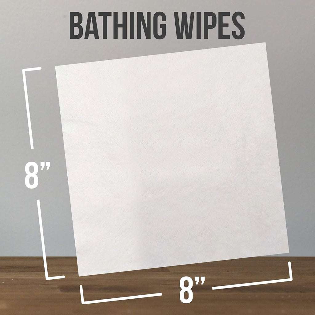 Body Wipes E90546