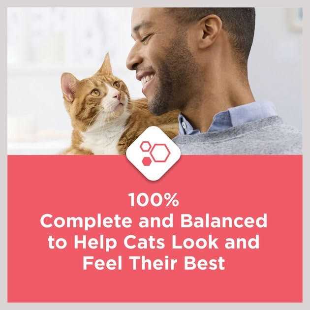 Salmon High Protein Dry Cat Food U533