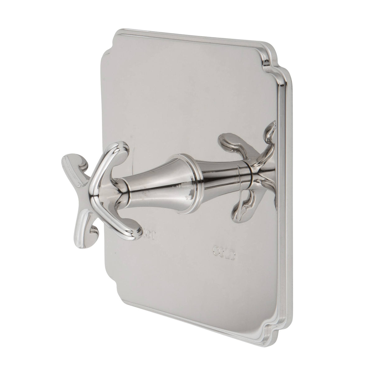 Balanced Pressure Shower Trim Plate with Lever Handle B246405