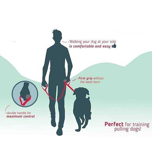 Heavy Duty Dog Leash L599
